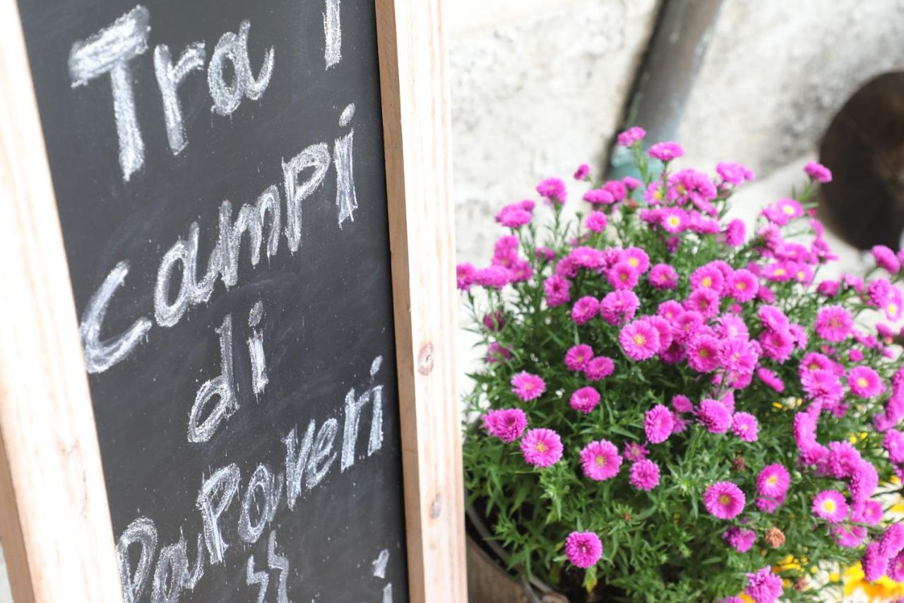 Tra I Campi Di Papaveri Medesano Exterior foto